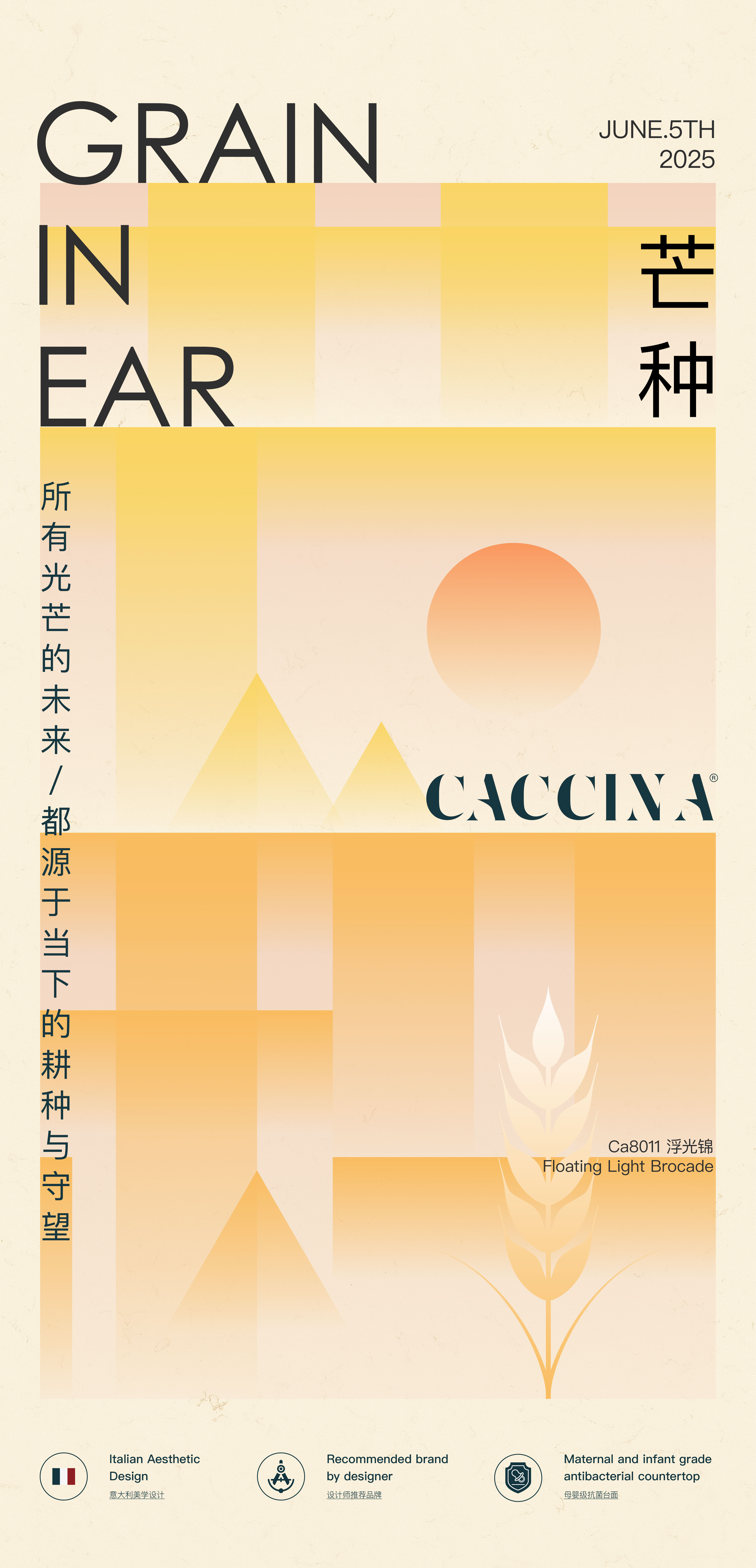 2025芒种_画板_1_副本