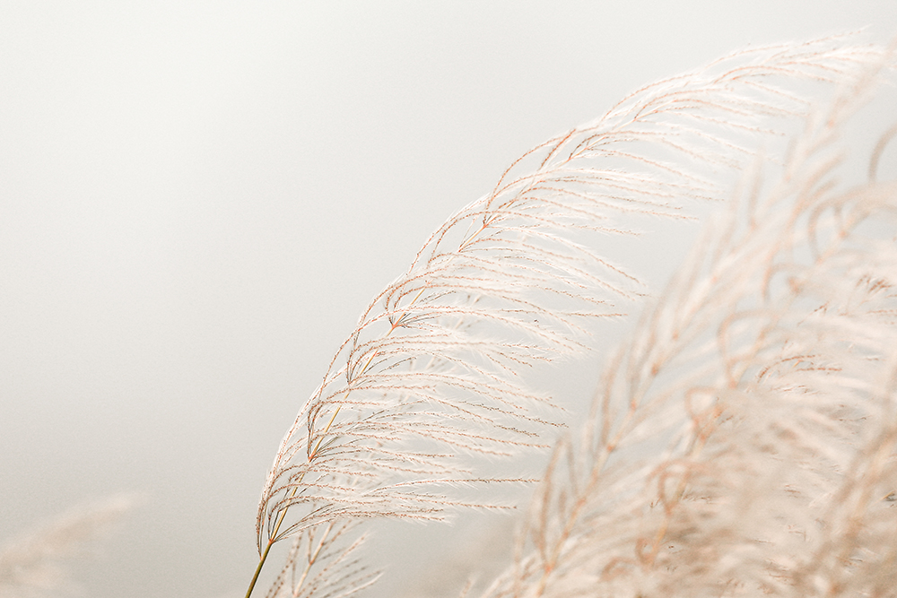 Ca9022_暖阳描述图1