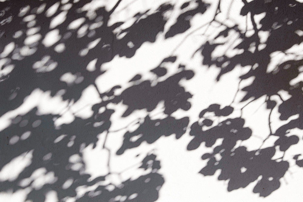 Ca9023_魅影描述图1