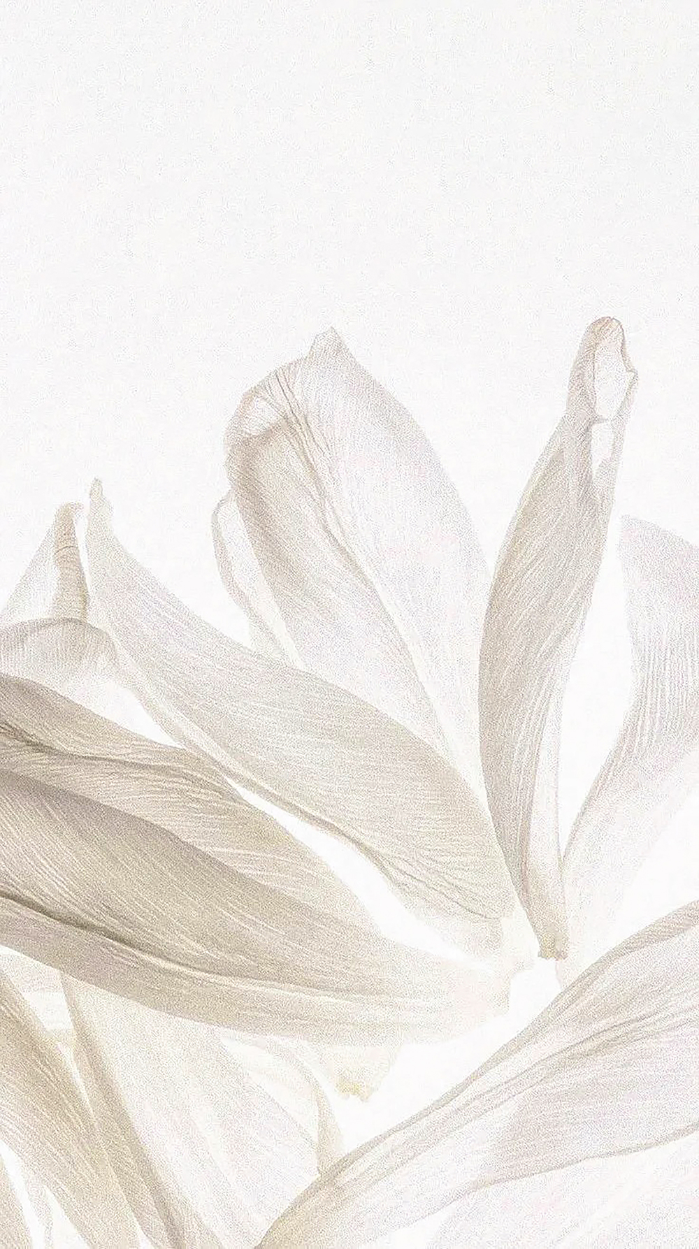 Ca9022_暖阳描述图3